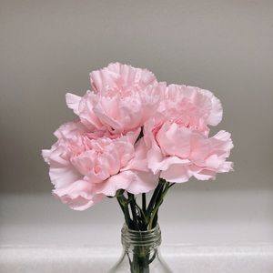 Meet your Posher, Hangeul